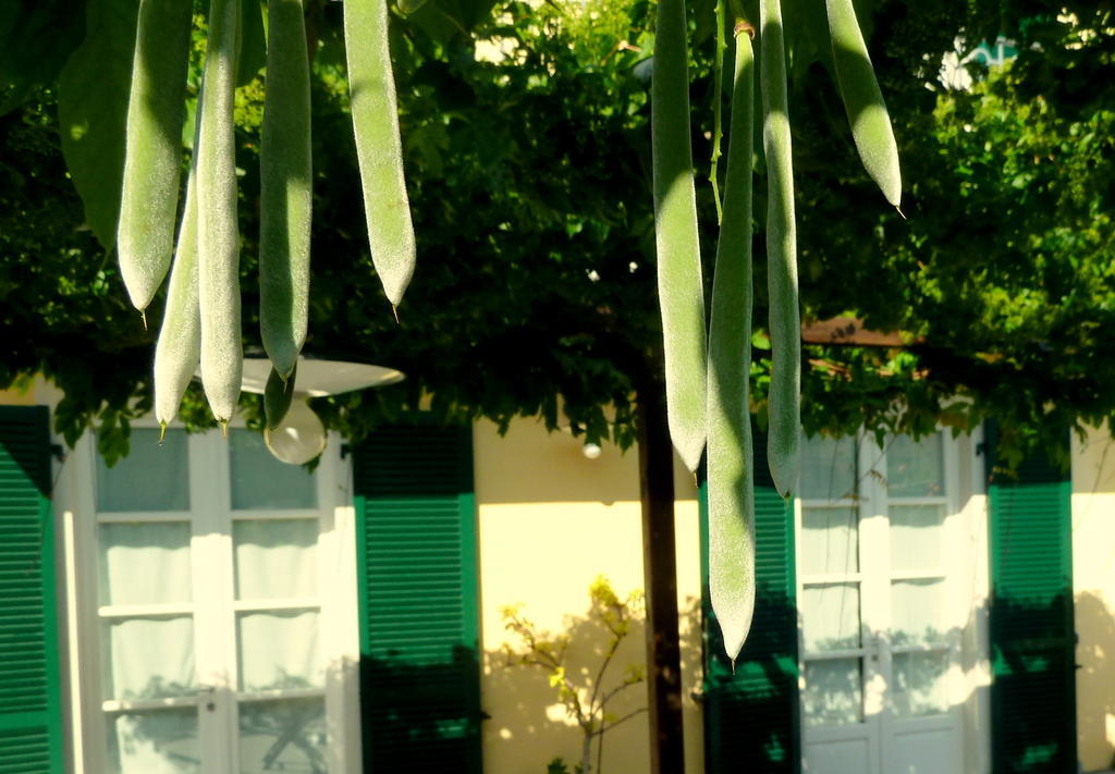 A Durmi Levanto Exterior foto